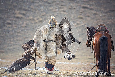 Western Mongolia, Golden Eagle Festival. The Mongolian Nomad Bears Two Golden Eagles In His Hands After The `Fox Skin` Competition Editorial Stock Photo