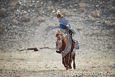 Western Mongolia,Golden Eagle Festival.Mongolian Rider-Hunter In Blue Clothes And A Fur Hat On Brown Horse And The Flying Golden Editorial Stock Photo