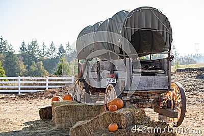 Western style retro wagon on a farm Stock Photo