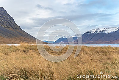 Westfjords of Iceland view into fjord and snow covered mountain tops behind meadow during autumn Stock Photo