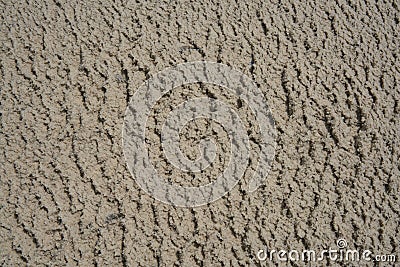 Wet cassava waste from Tapioca starch factory. Stock Photo