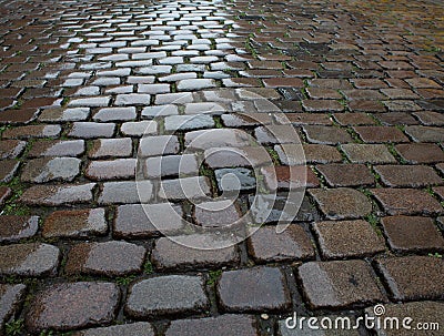 Wet cobblestone pavement Stock Photo