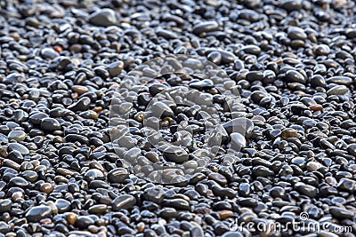 Wet dark pebbles and rocks on the ocean coast Stock Photo