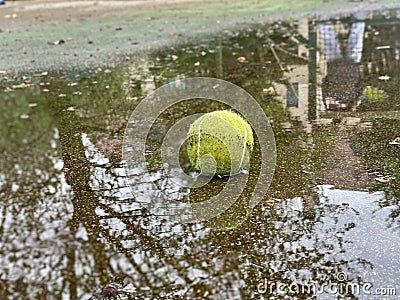Wet dirty tennis ball in puddle in rainy weather. Cancellation of matches. Stock Photo