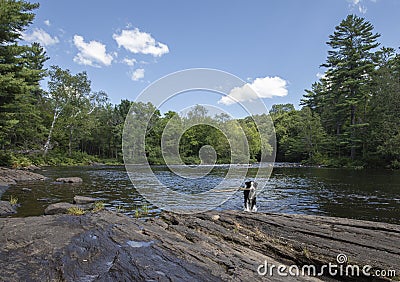 A wet dog with a stick on a rocky riverbank Stock Photo