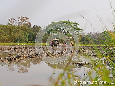 Wet / flooded / muddy soil in a paddy field being plowed by a tractors in the hot afternoon in a rural area in Thailand Stock Photo