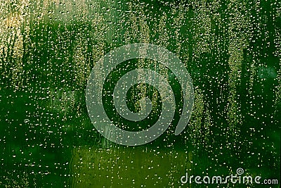 Glass with water drops and green blurs Stock Photo