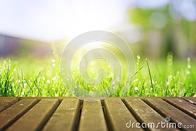 Wet grass field in sunny morning Stock Photo