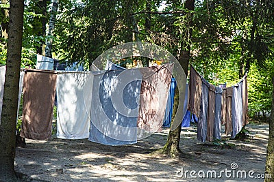 Wet laundry hanging on strings, washed towels hanging in the forest Stock Photo