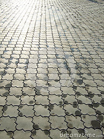 Wet ornate paving stones Stock Photo