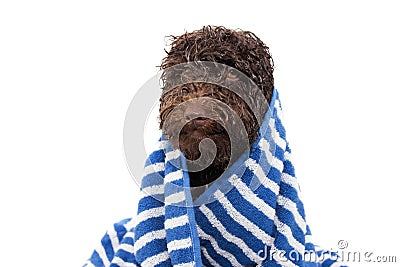 Wet puppy dog wrapped with a striped blue towel after take a shower or bath Stock Photo