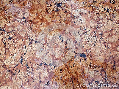 Wet red marble with pink spots and dark veins. Marble background Stock Photo