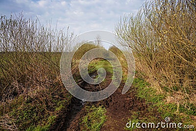 Wet road among the Biebrza marshes, April among the swamps Stock Photo