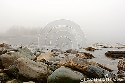 Wet Rocks at the Bay Stock Photo