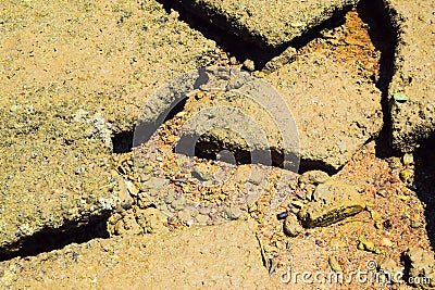 Wet rocks at Krabi, Thailand Stock Photo