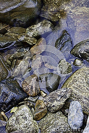 Wet rocks in the stream. Stock Photo