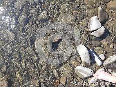 Wet Smooth mountain river rocks Stock Photo