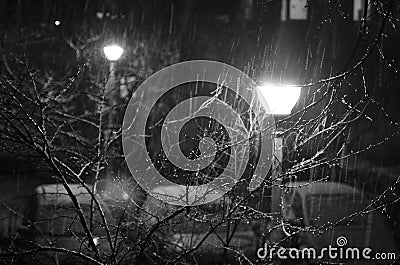 Night raining against street lamp light. Stock Photo