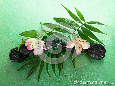 Wet stones and alstroemeria flower on a howea leaf Stock Photo