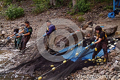 Wet`suwet`en Fisheries - Beach Seining Workers Pulling the Net Editorial Stock Photo