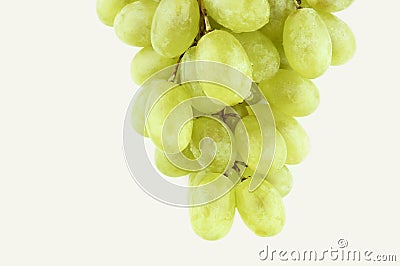Wet sweet grapes Stock Photo