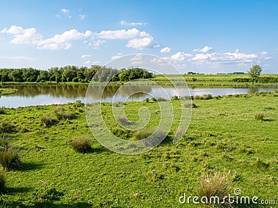 Wetland landscape of nature reserve Tiendgorzen in Haringvliet e Stock Photo