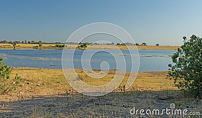 Wetland Pond in the African Veldt Stock Photo