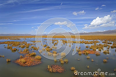 Wetland in Ruoergai automn Stock Photo