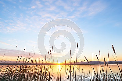 a wetland during sunset with cattail silhouettes against the sky Stock Photo