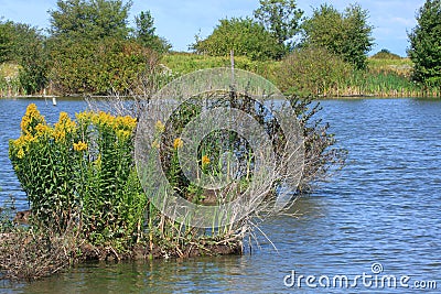 Wetlands Stock Photo