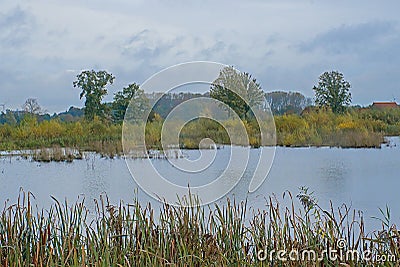 Autumn marshland landscape in the Flemish countryside Stock Photo