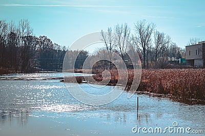 Wetlands at the Frederik Meijer Gardens Editorial Stock Photo