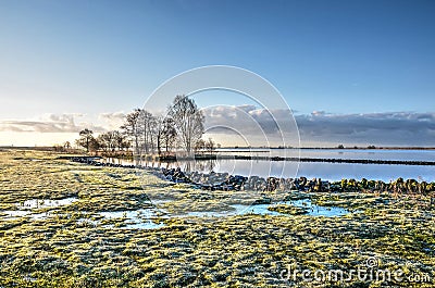 Wetlands on a frosty morning Stock Photo