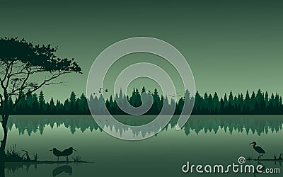 Wetlands landscape background realistic vector illustration with lake river birds flying green color reflection Vector Illustration