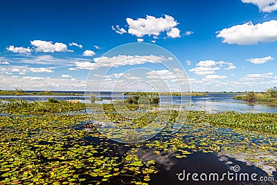 Wetlands in Nature Reserve Esteros del Ibera Stock Photo