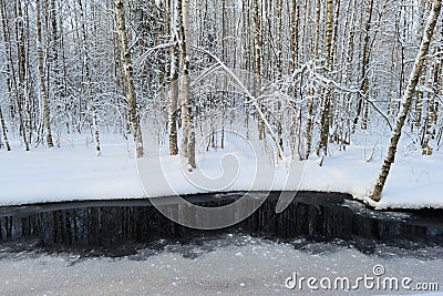 Wetlands river river in white snowy banks of a winter morning Stock Photo