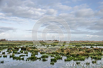 Wetlands under a blig sky Stock Photo