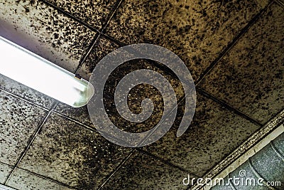 Wetting and mold growth of ceiling decorative panels Stock Photo