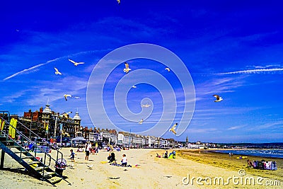 Weymouth beach busy with people and birds Editorial Stock Photo