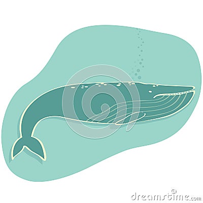 Whale Vector Illustration