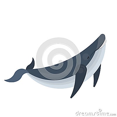 Whale animal. Big creature from the sea or ocean Vector Illustration