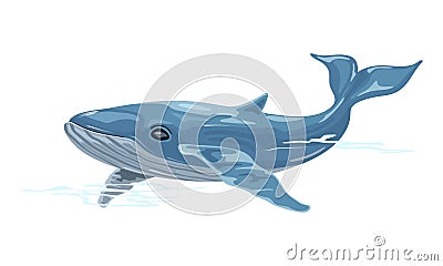 Whale is aquatic placental marine mammal with streamlined fusiform bodies and two flippers. Vector Illustration