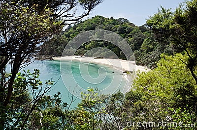 Whale Beach New Zealand Stock Photo