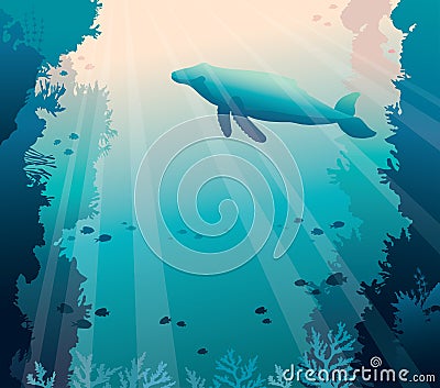 Whale, coral reef and sea. Underwater vector. Vector Illustration