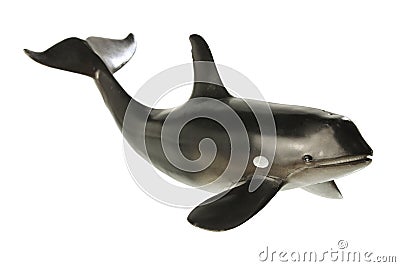 Whale Stock Photo