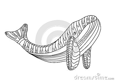 Whale in hand drawn doodle style isolated on white background. Coloring book for adult and kids. Vector stock outline illustration Cartoon Illustration