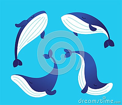 Whale - modern vector set of flat illustrations. Vector Illustration