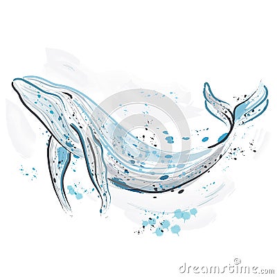 Whale. Retro hand drawn vector illustration.Card, print, t-shirt, postcard, poster. Vector Illustration