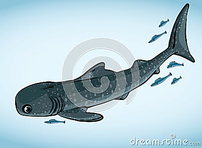 Whale shark and fish. Stock Photo