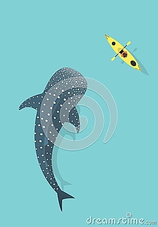 Whale shark and Kayak isolated on Blue sea background. Vector Illustration